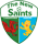 The New Saints FC