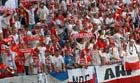 Zdjęcie 90