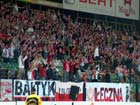 Zdjęcie 35