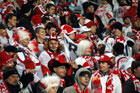Zdjęcie 19