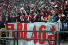 Zdjęcie 45