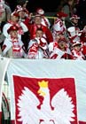 Zdjęcie 19