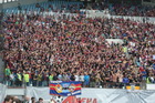 Zdjęcie 10