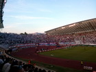 Zdjęcie 21