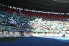 Zdjęcie 10