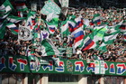 Zdjęcie 11