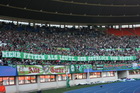 Zdjęcie 15