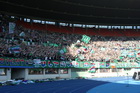 Zdjęcie 16