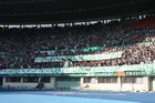 Zdjęcie 19