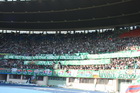 Zdjęcie 20
