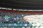Zdjęcie 24
