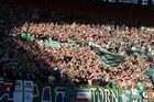 Zdjęcie 26