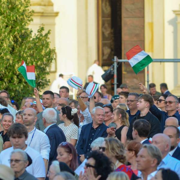 Zdjęcie 11