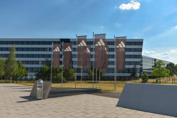 Zdjęcie 13