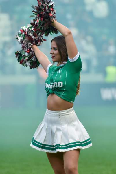 Zdjęcie 185
