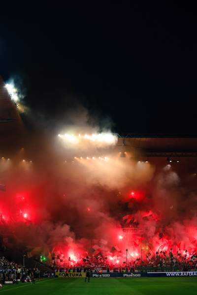 Zdjęcie 15