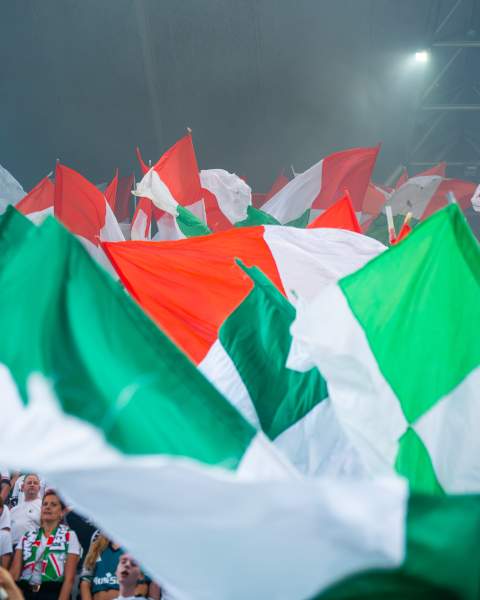 Zdjęcie 38