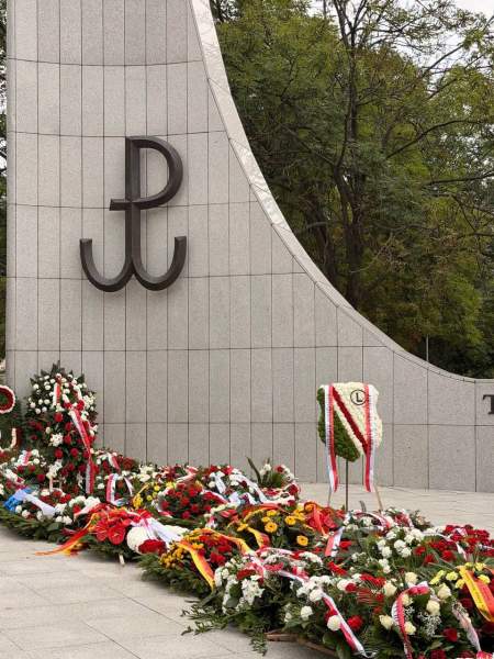 Zdjęcie 10