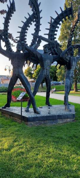 Zdjęcie 16