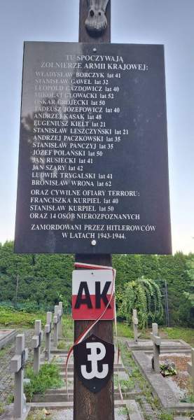 Zdjęcie 17