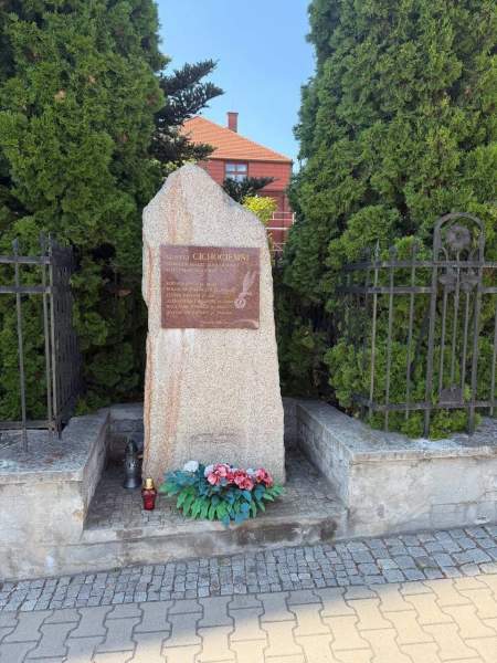 Zdjęcie 19