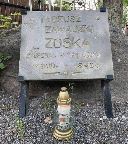 Zdjęcie 24