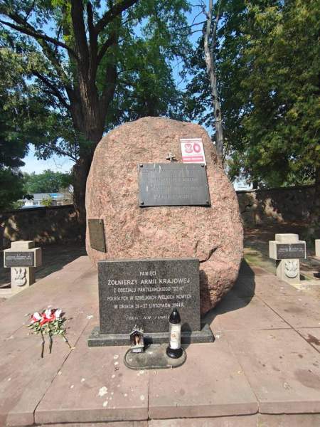 Zdjęcie 28