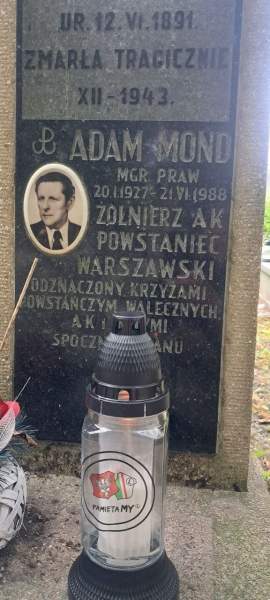Zdjęcie 30