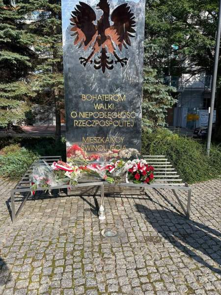 Zdjęcie 31