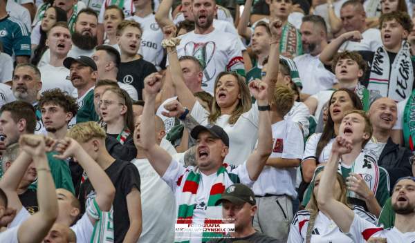 Zdjęcie 46