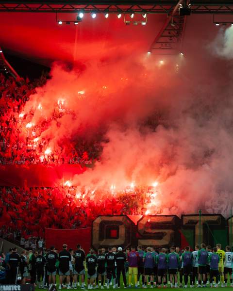 Zdjęcie 17