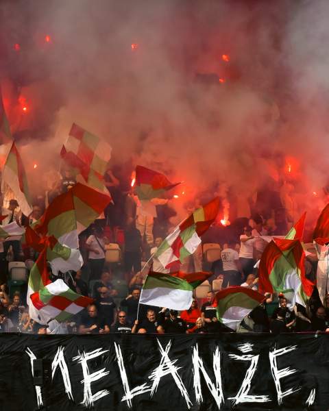 Zdjęcie 31