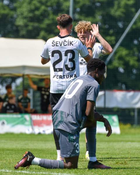 Zdjęcie 42