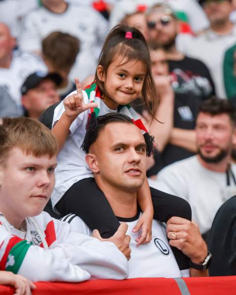 Zdjęcie 42