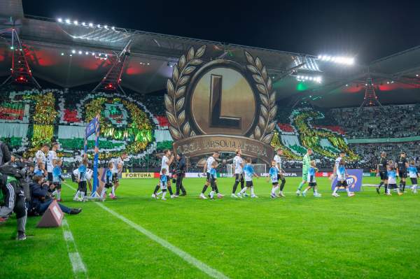 Zdjęcie 15