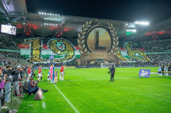 Zdjęcie 17