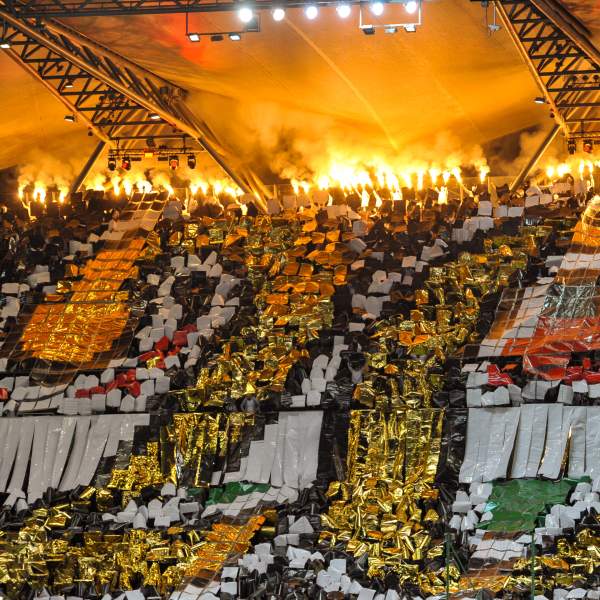 Zdjęcie 16