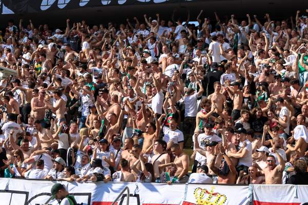 Zdjęcie 43