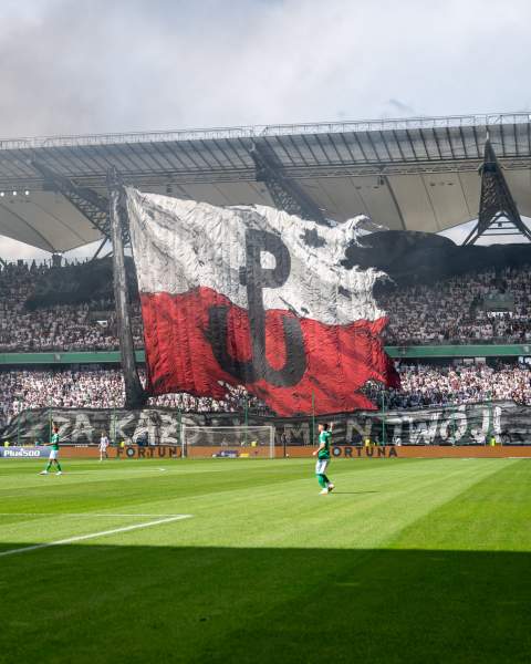 Zdjęcie 26