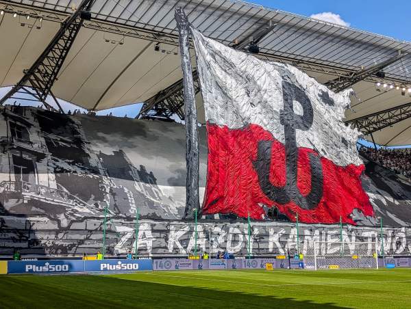 Zdjęcie 11