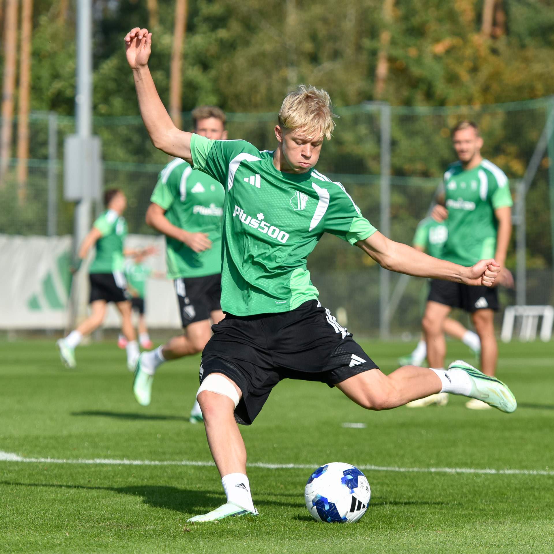 trening Franciszek Stępniewski