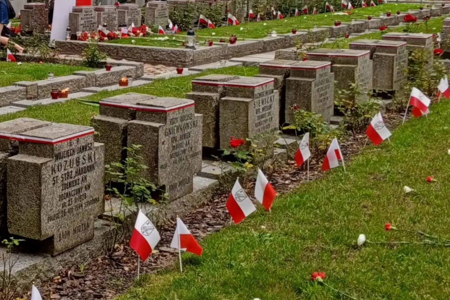 Kwiaty, znicze, chorągiewki, wstążki - fani Legii udekorowali setki grobów Bohaterów